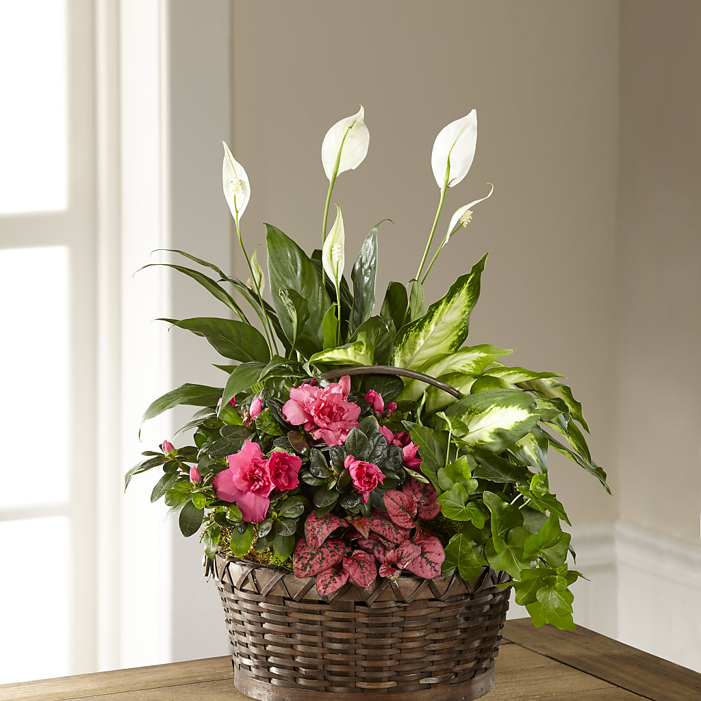 Dream in Pink Dishgarden – Le Bloom Floral, Le Mars IA