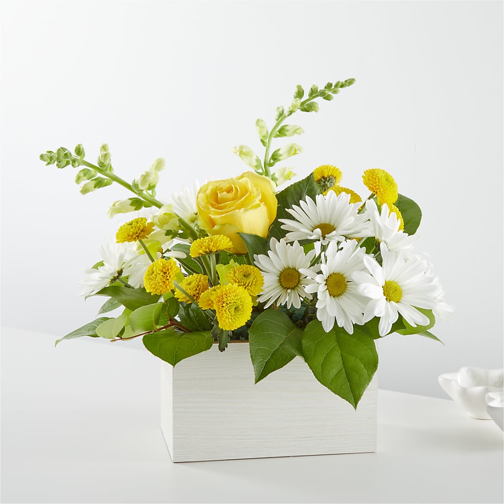 Sun Salutation Box Bouquet – Le Bloom Floral, Le Mars IA