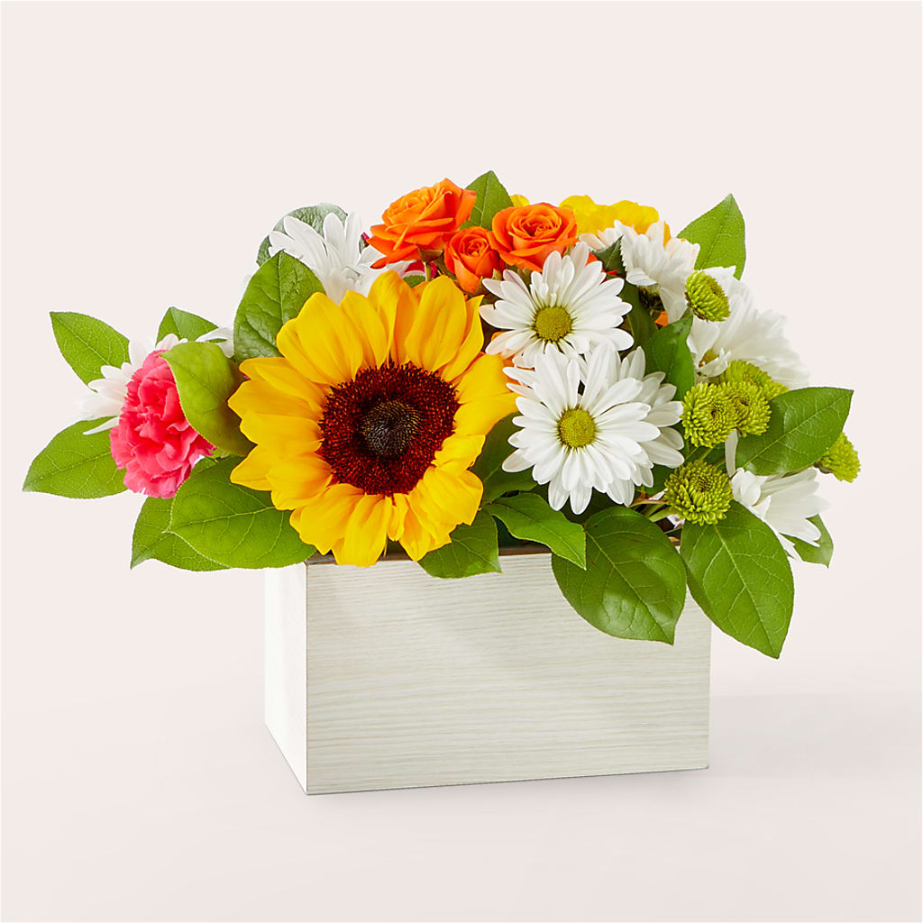 Sun-drenched Blooms Box Bouquet – Le Bloom Floral, Le Mars IA