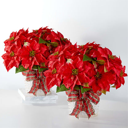 Happiest Holidays Poinsettia Bundle –  Le Bloom Floral, Le Mars IA