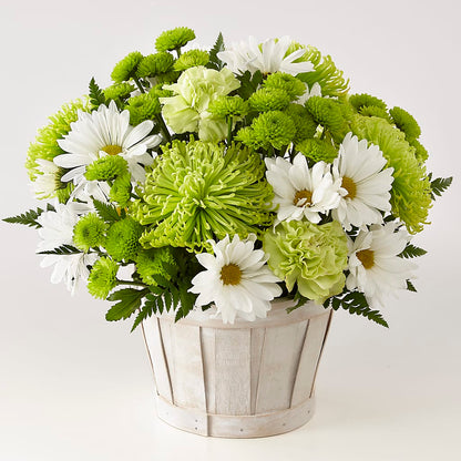 Lucky Charm Basket (Standard) –  Le Bloom Floral, Le Mars IA