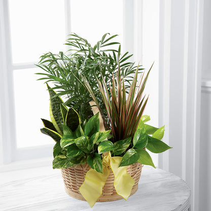 French Garden –  Le Bloom Floral, Le Mars IA