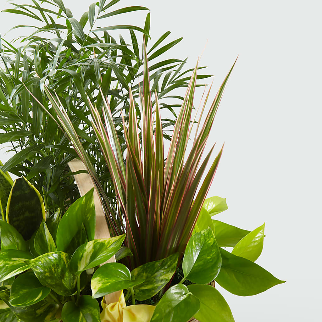 French Garden –  Le Bloom Floral, Le Mars IA