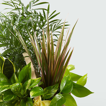 French Garden –  Le Bloom Floral, Le Mars IA