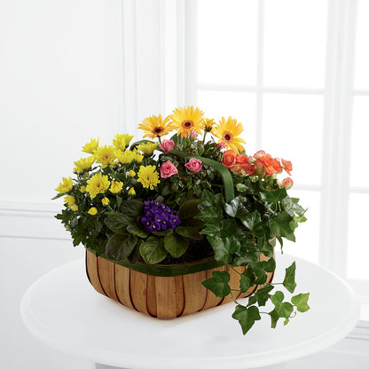 Gentle Blossoms Basket –  Le Bloom Floral, Le Mars IA