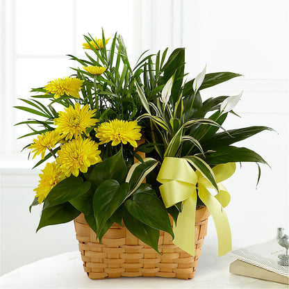 Loving Light Dishgarden –  Le Bloom Floral, Le Mars IA