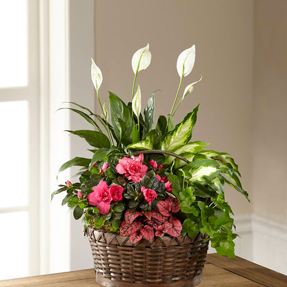 Dream in Pink Dishgarden –  Le Bloom Floral, Le Mars IA