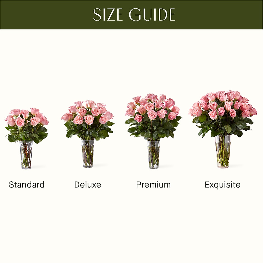 Long Stem Pink Rose Bouquet –  Le Bloom Floral, Le Mars IA