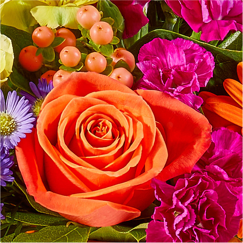 Tricks & Treats Pumpkin –  Le Bloom Floral, Le Mars IA