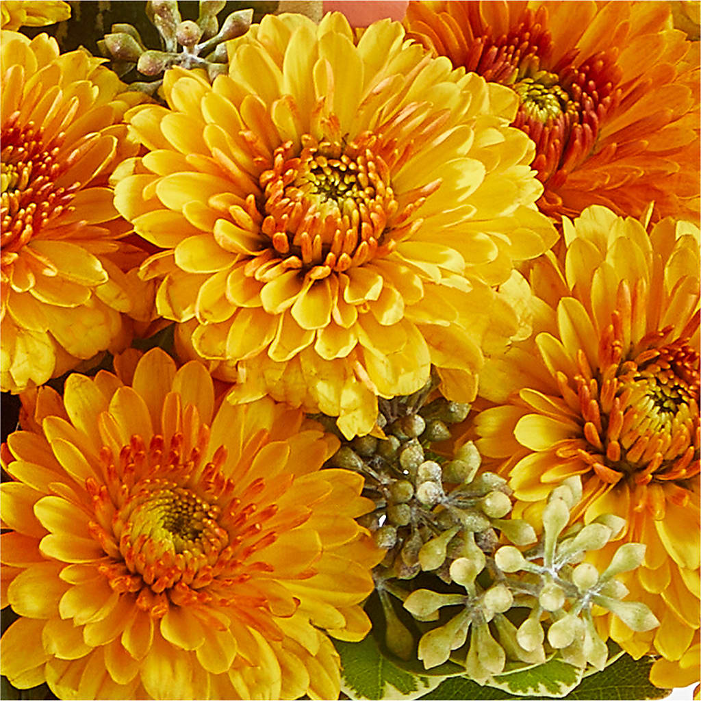 Peachy Pumpkin –  Le Bloom Floral, Le Mars IA