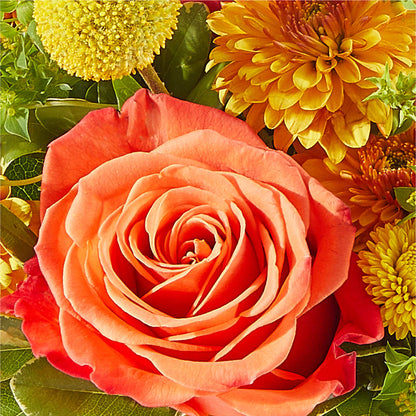 Gourdgeous Pumpkin –  Le Bloom Floral, Le Mars IA