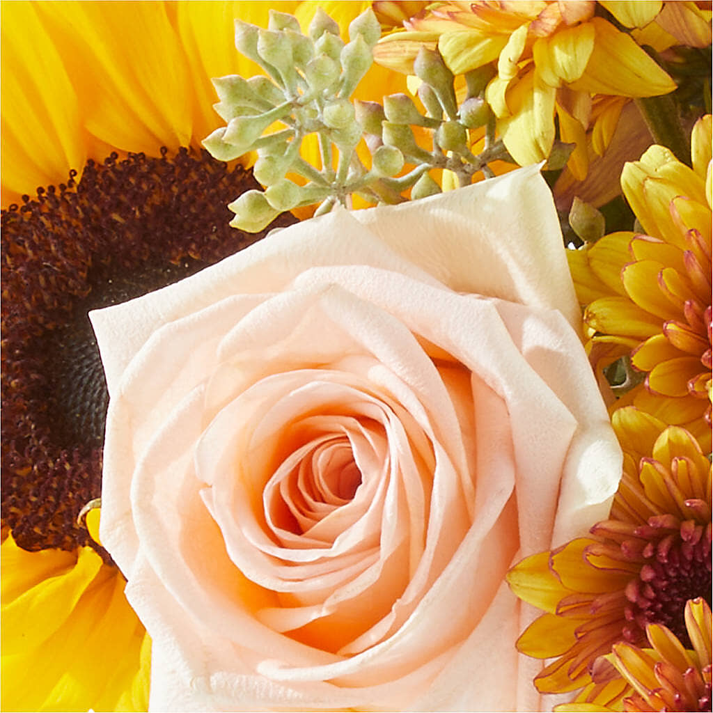 Pumpkin to Talk About Bouquet –  Le Bloom Floral, Le Mars IA