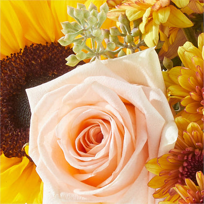 Pumpkin to Talk About Bouquet –  Le Bloom Floral, Le Mars IA