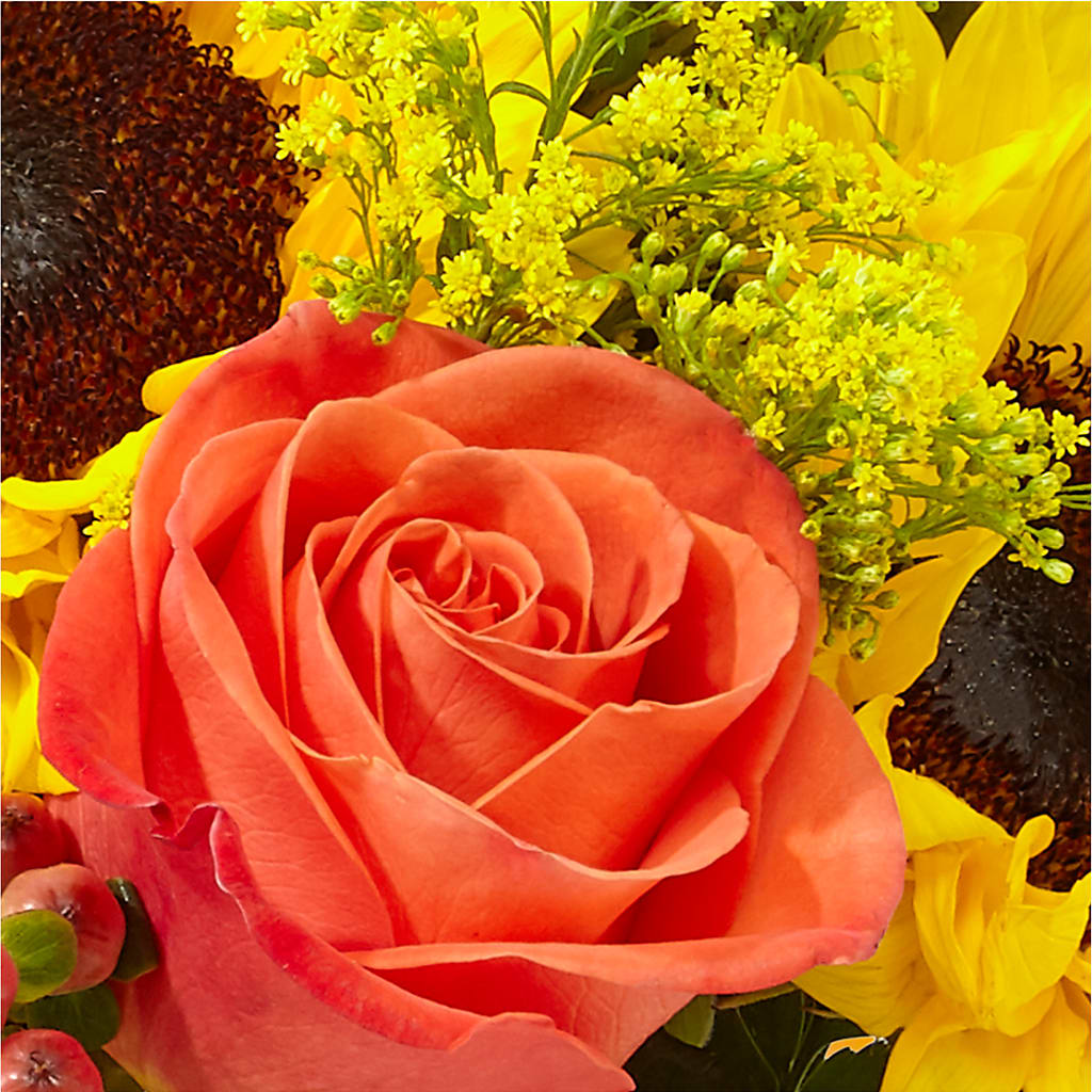Pick of the Patch Pumpkin Bouquet –  Le Bloom Floral, Le Mars IA