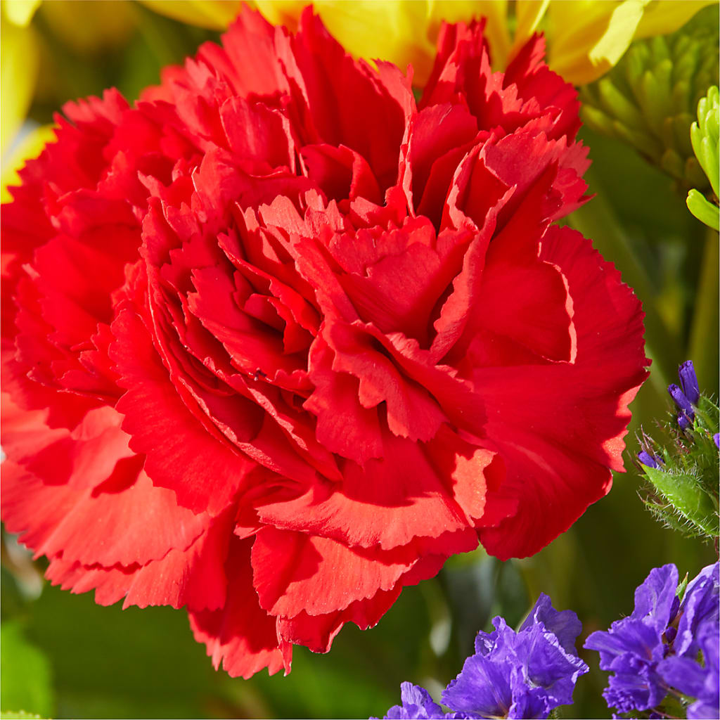 Brighter Days Bouquet –  Le Bloom Floral, Le Mars IA