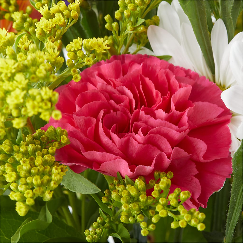 Oopsie Daisy Bouquet –  Le Bloom Floral, Le Mars IA