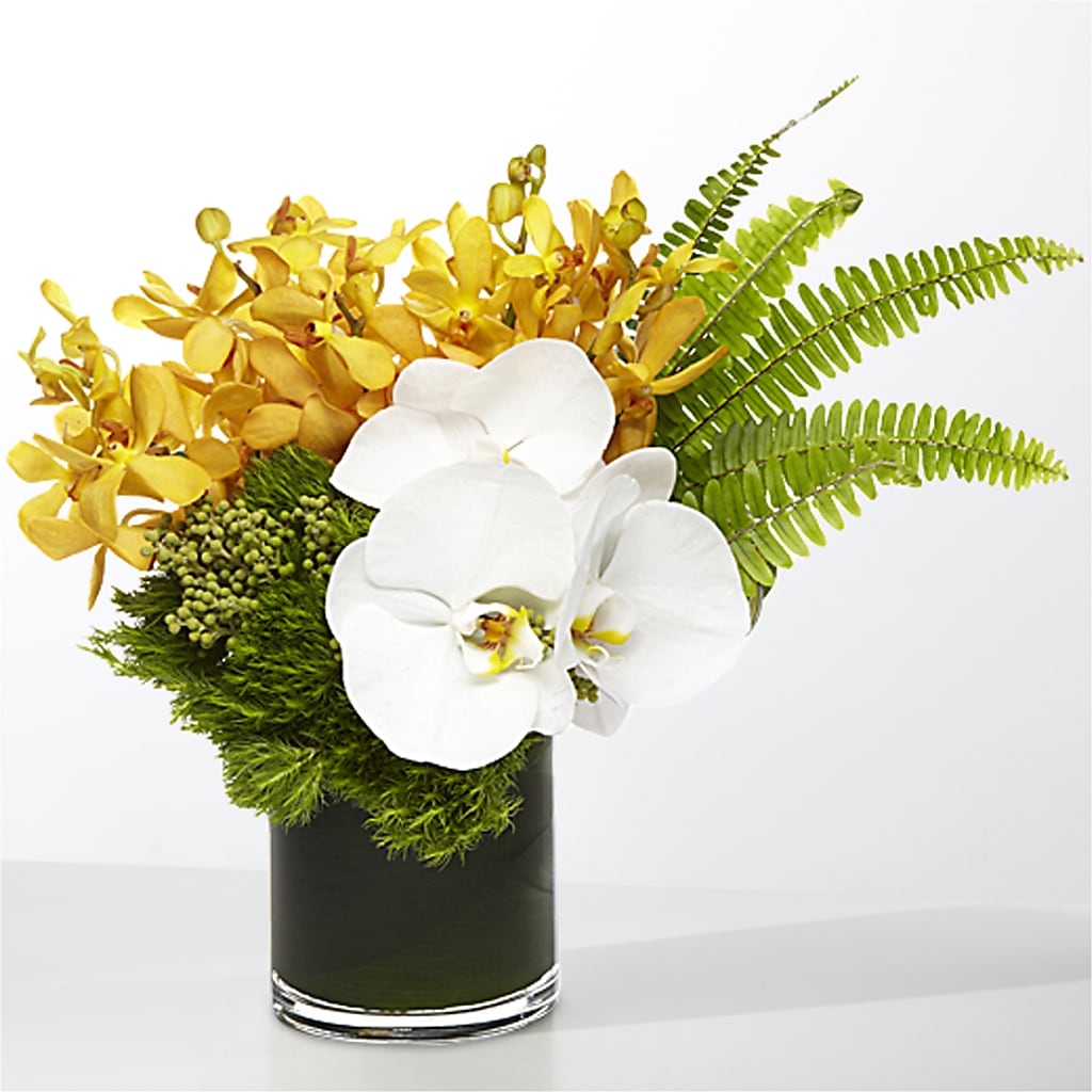 The Tropics –  Le Bloom Floral, Le Mars IA