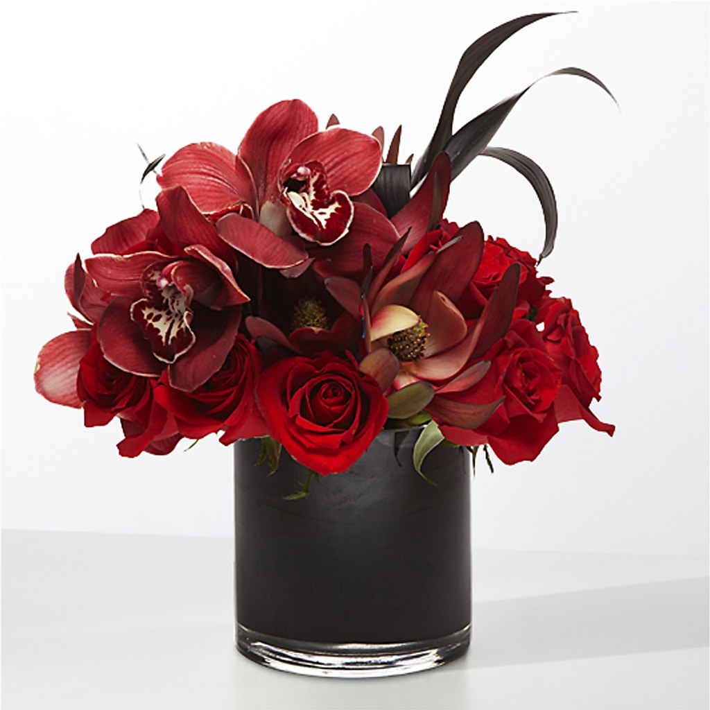 The Eclipse –  Le Bloom Floral, Le Mars IA