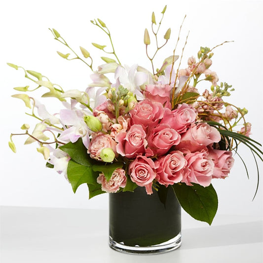 The Muse –  Le Bloom Floral, Le Mars IA
