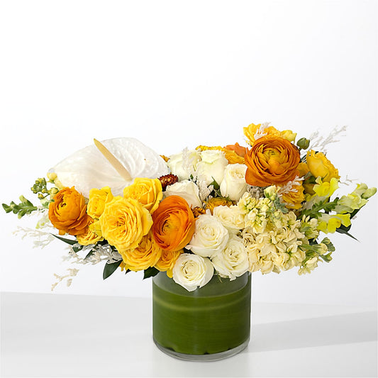 The Optimist –  Le Bloom Floral, Le Mars IA