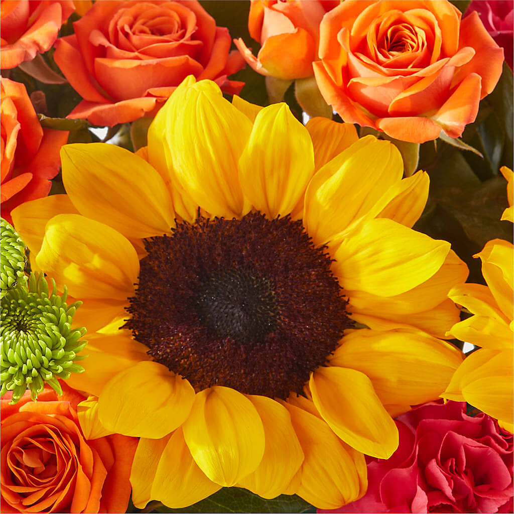 Sun-drenched Blooms Box Bouquet –  Le Bloom Floral, Le Mars IA