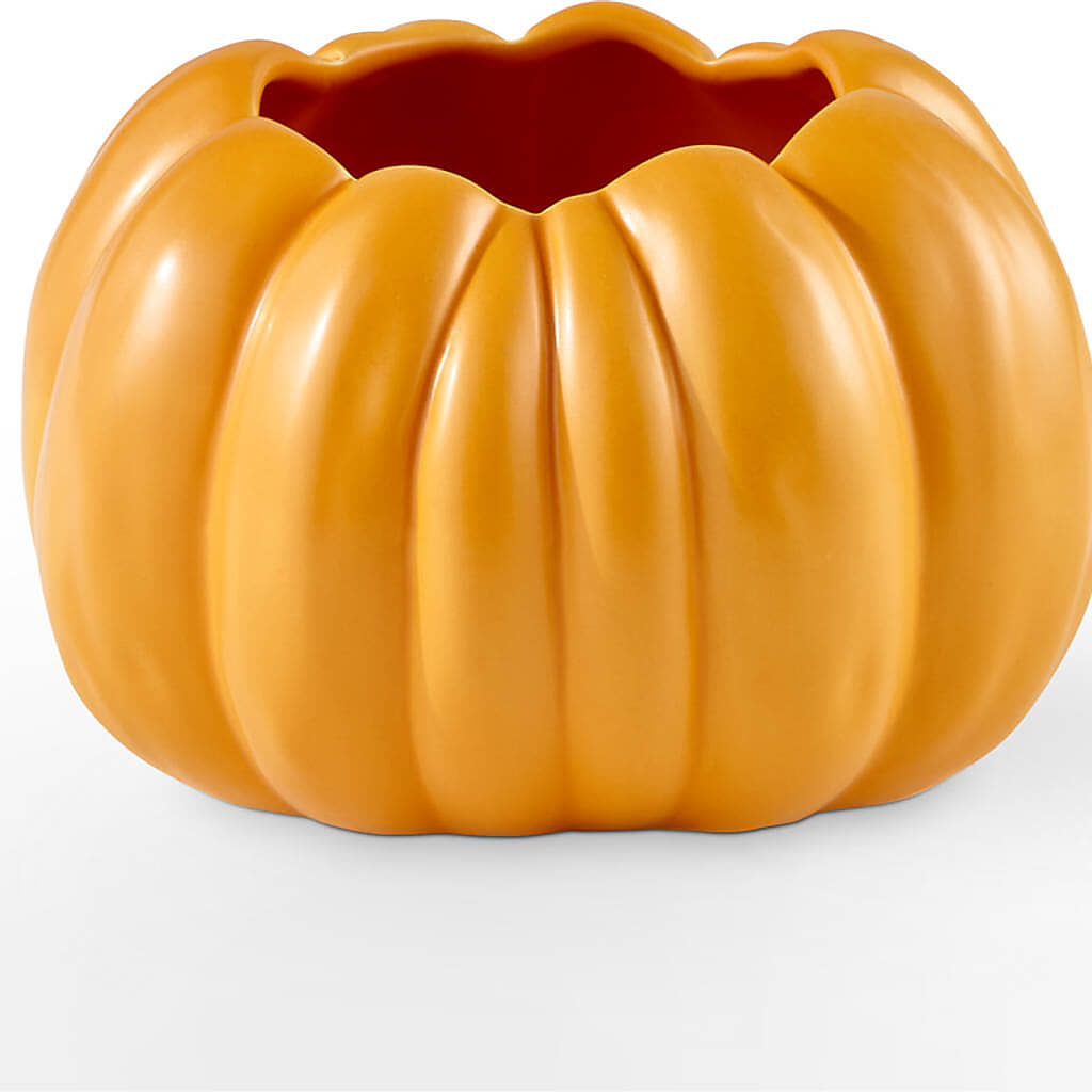 Pick of the Patch Pumpkin Bouquet –  Le Bloom Floral, Le Mars IA