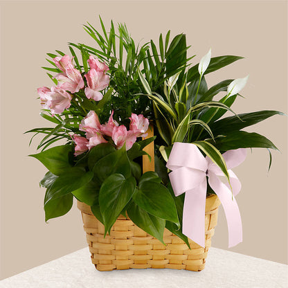 Living Spirit Dishgarden –  Le Bloom Floral, Le Mars IA
