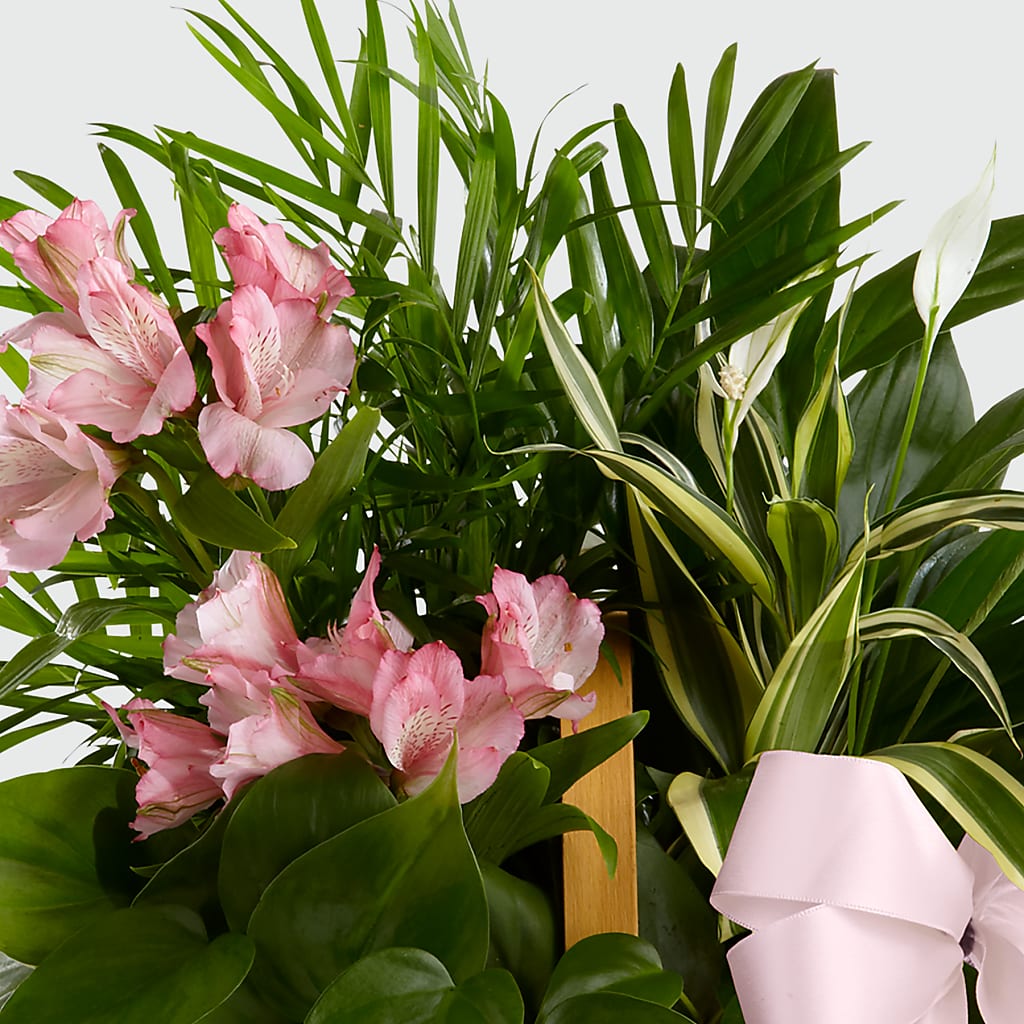 Living Spirit Dishgarden –  Le Bloom Floral, Le Mars IA