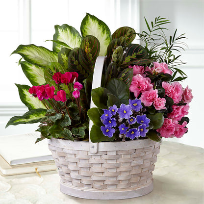 Peaceful Garden Planter –  Le Bloom Floral, Le Mars IA
