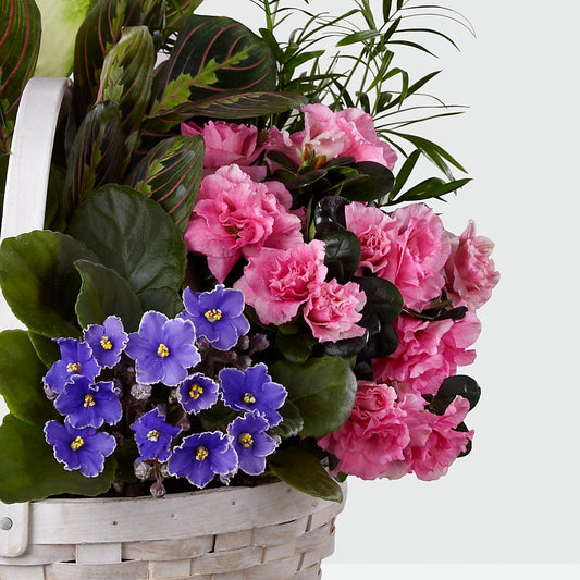 Peaceful Garden Planter –  Le Bloom Floral, Le Mars IA