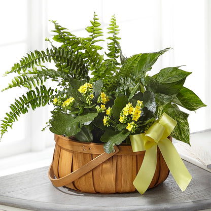 Always Dear Dishgarden –  Le Bloom Floral, Le Mars IA