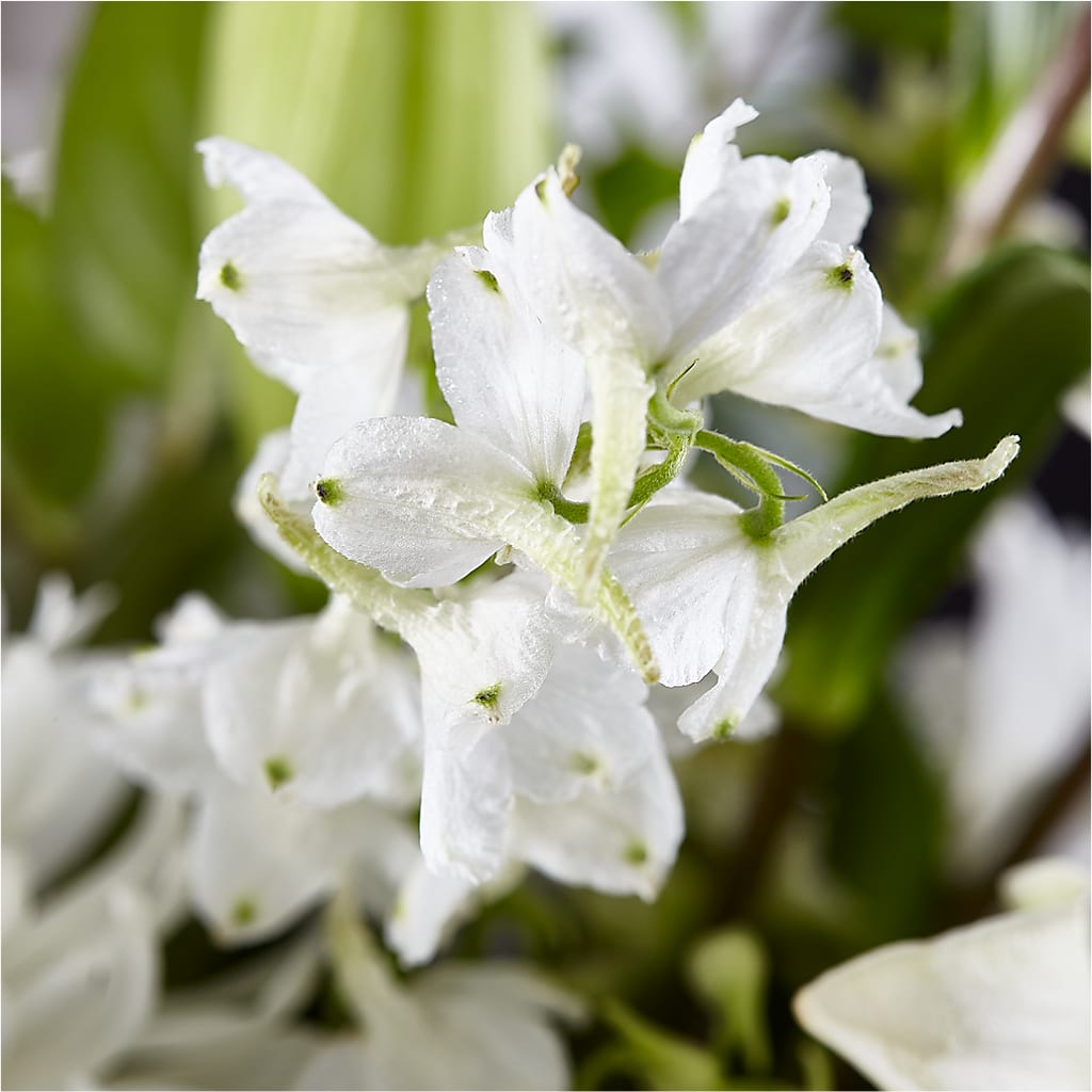 Classic Ivory – A Florist Original –  Le Bloom Floral, Le Mars IA