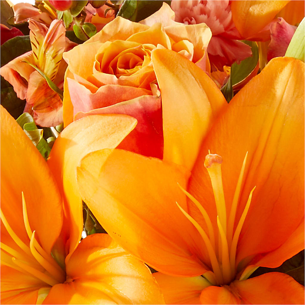 Afternoon Light Bouquet –  Le Bloom Floral, Le Mars IA