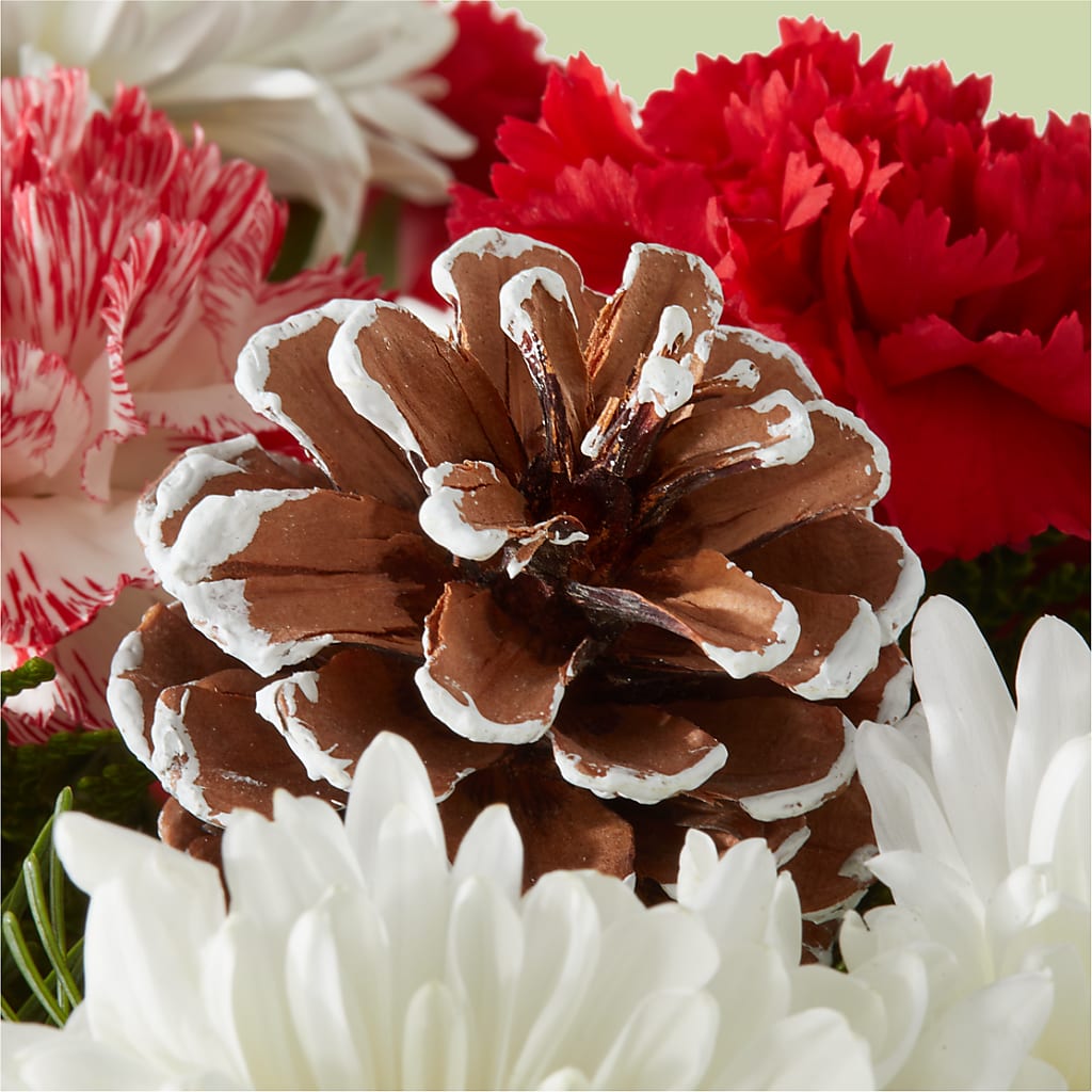 Candy Cane Lane Bouquet –  Le Bloom Floral, Le Mars IA