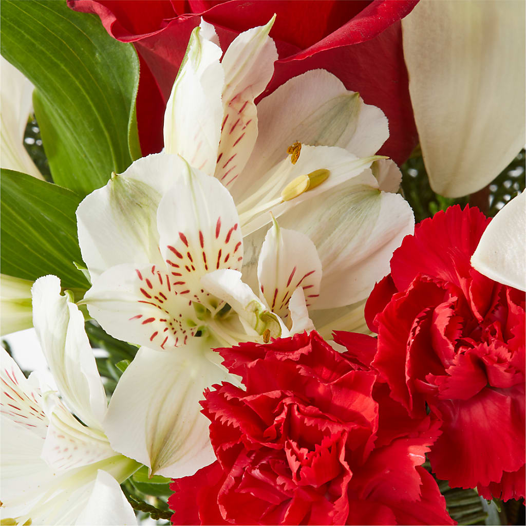 Holiday Season Bouquet –  Le Bloom Floral, Le Mars IA