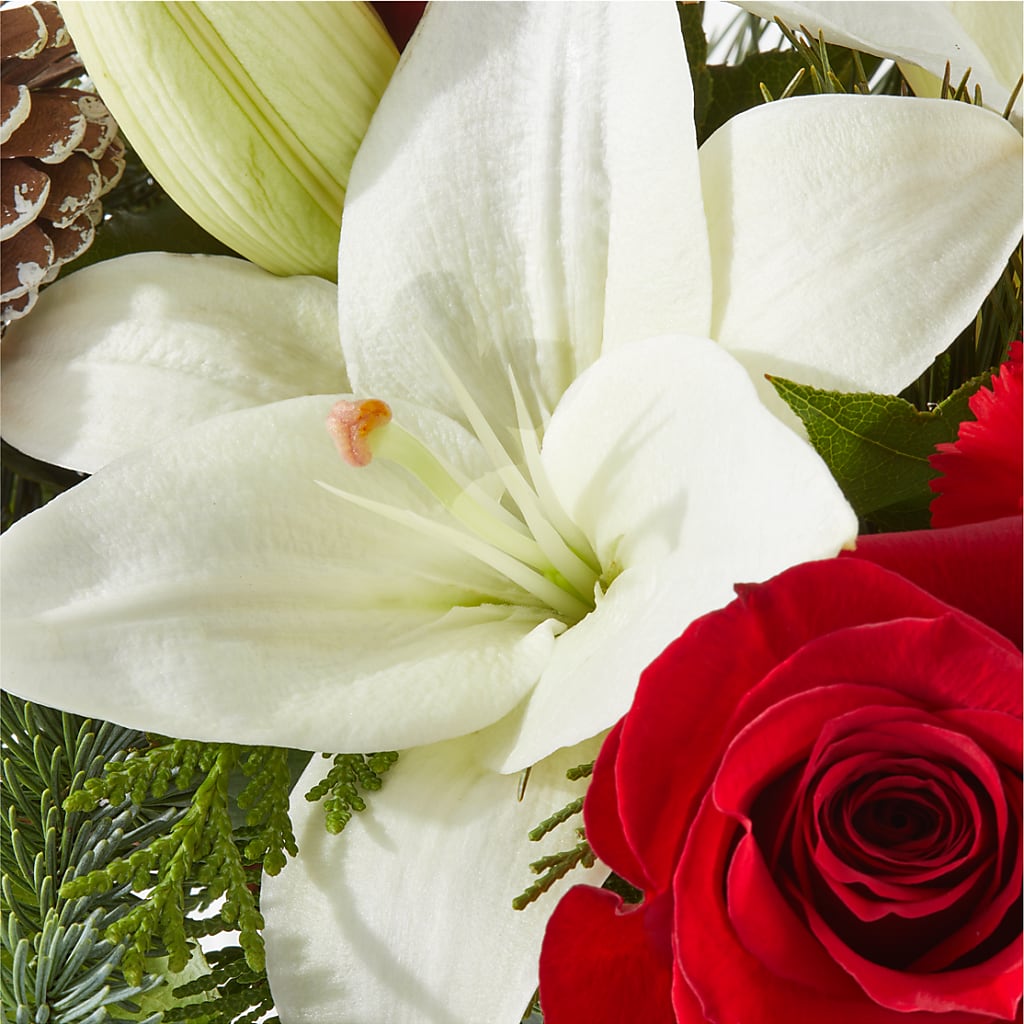 Oh So Jolly Bouquet –  Le Bloom Floral, Le Mars IA
