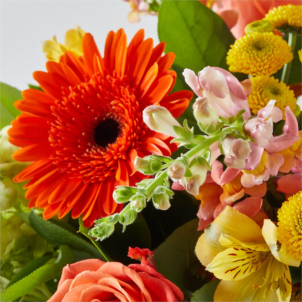 Autumn Sunshine Bouquet –  Le Bloom Floral, Le Mars IA