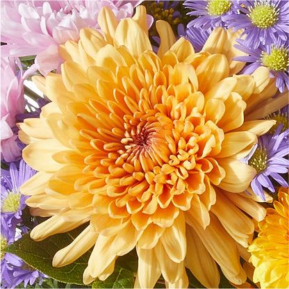 Countryside Bouquet –  Le Bloom Floral, Le Mars IA