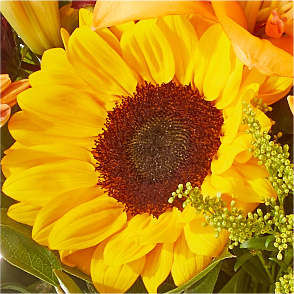 Seasons Change Bouquet –  Le Bloom Floral, Le Mars IA