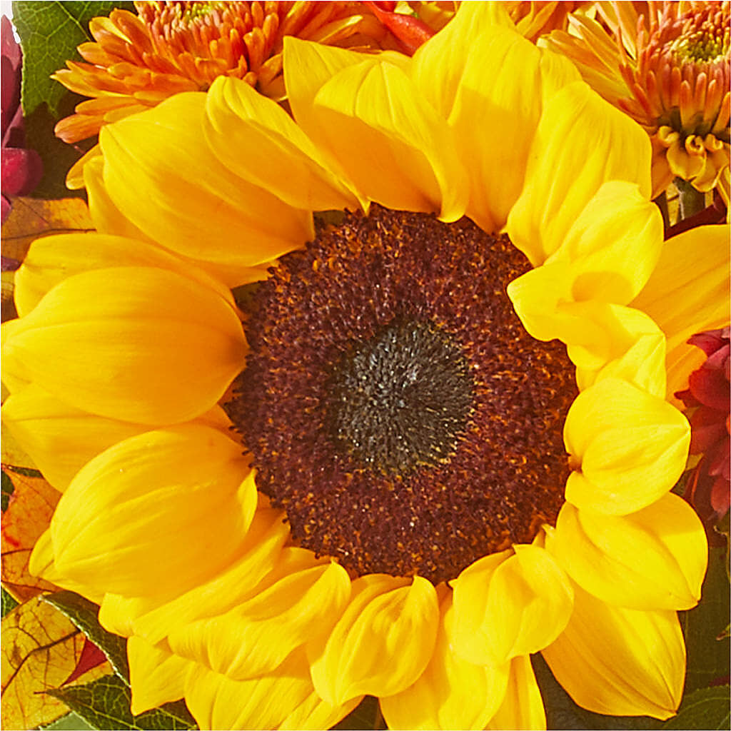 Sunny Side Bouquet –  Le Bloom Floral, Le Mars IA