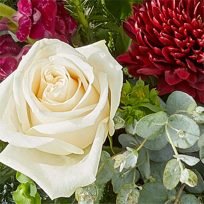 Cranberry Fizz Bouquet –  Le Bloom Floral, Le Mars IA
