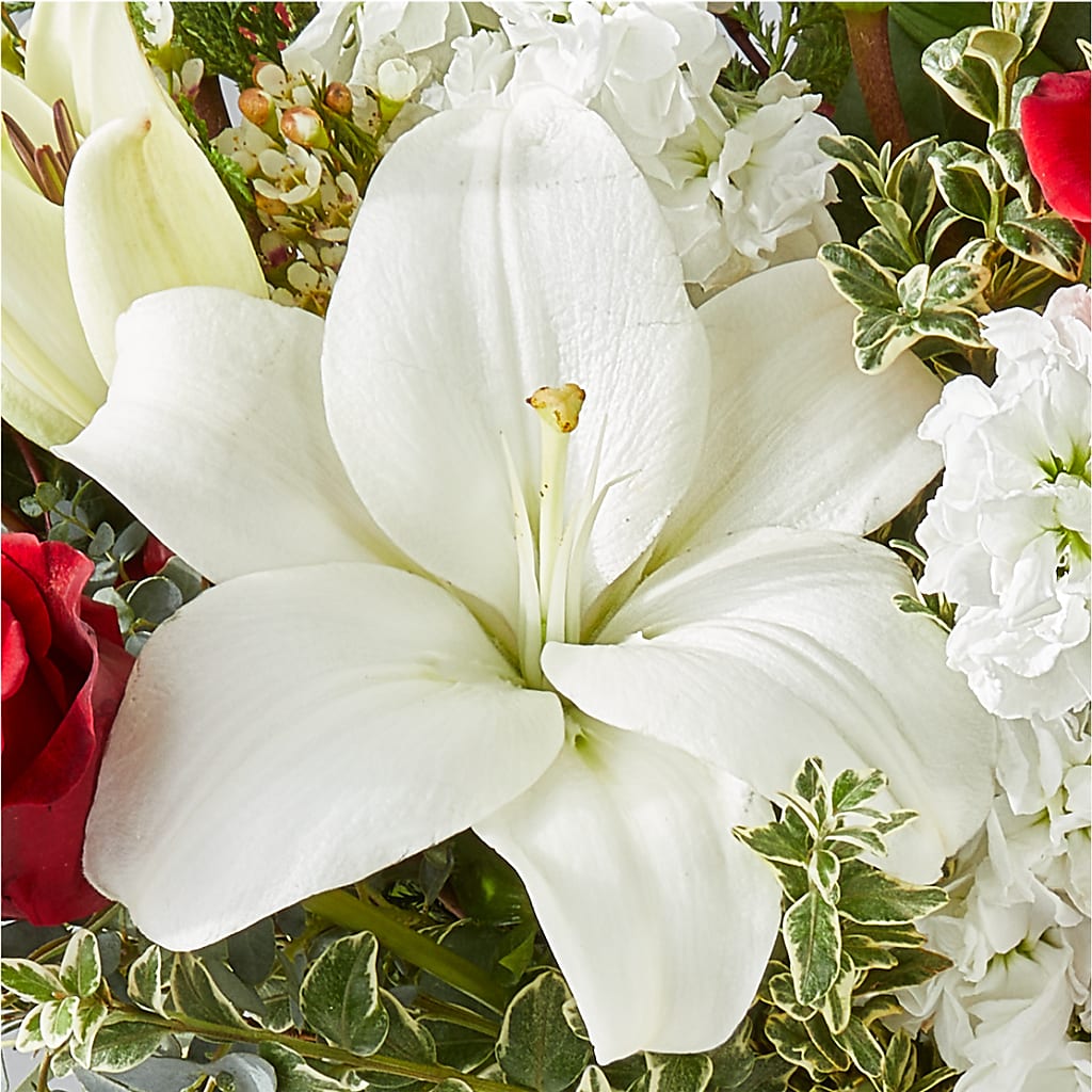 Twinkle Lights Bouquet –  Le Bloom Floral, Le Mars IA