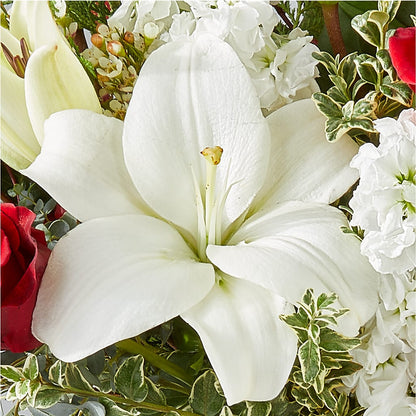 Twinkle Lights Bouquet –  Le Bloom Floral, Le Mars IA