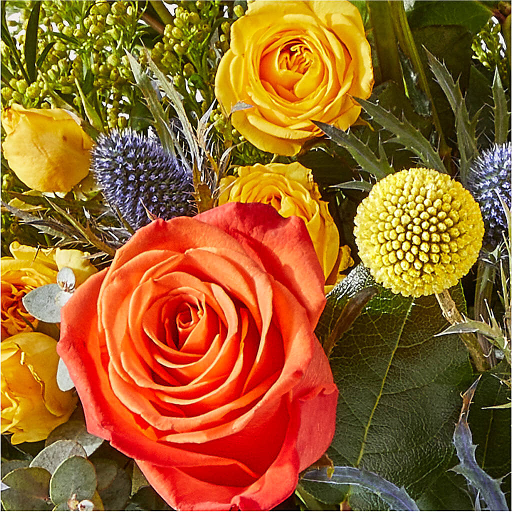 Disco Bouquet –  Le Bloom Floral, Le Mars IA