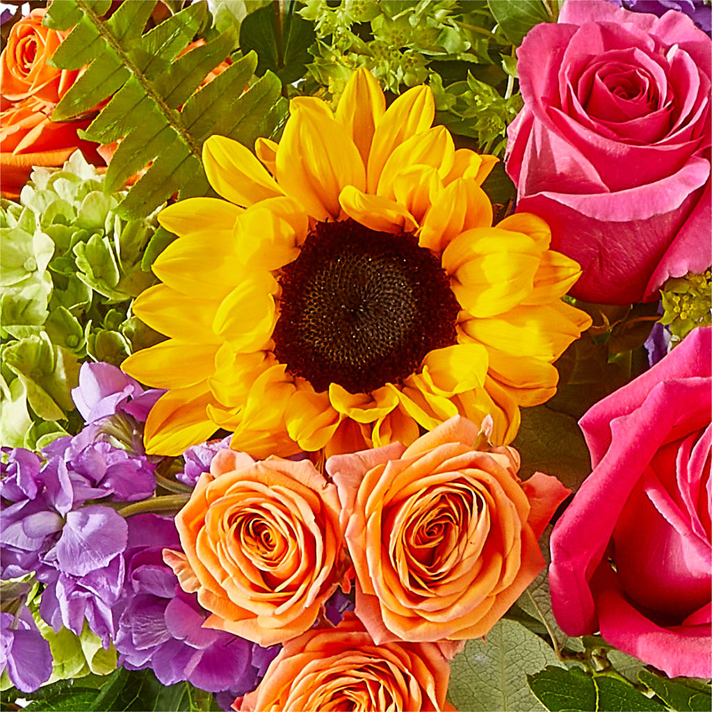 Vibrant Greetings Bouquet –  Le Bloom Floral, Le Mars IA