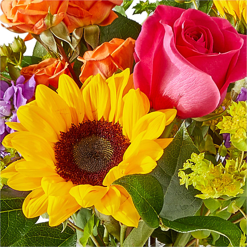 Vibrant Greetings Bouquet –  Le Bloom Floral, Le Mars IA