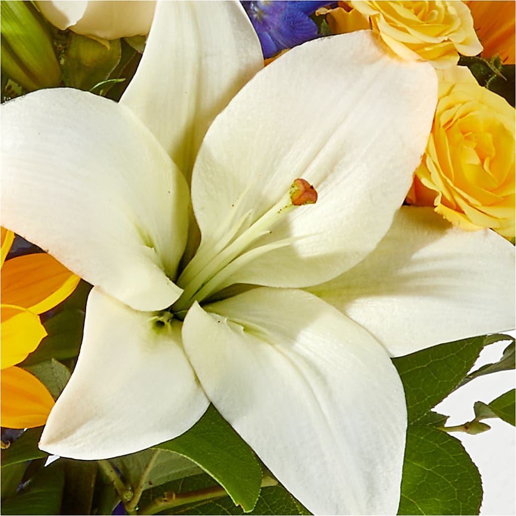 Wonderfully Sunny Bouquet –  Le Bloom Floral, Le Mars IA