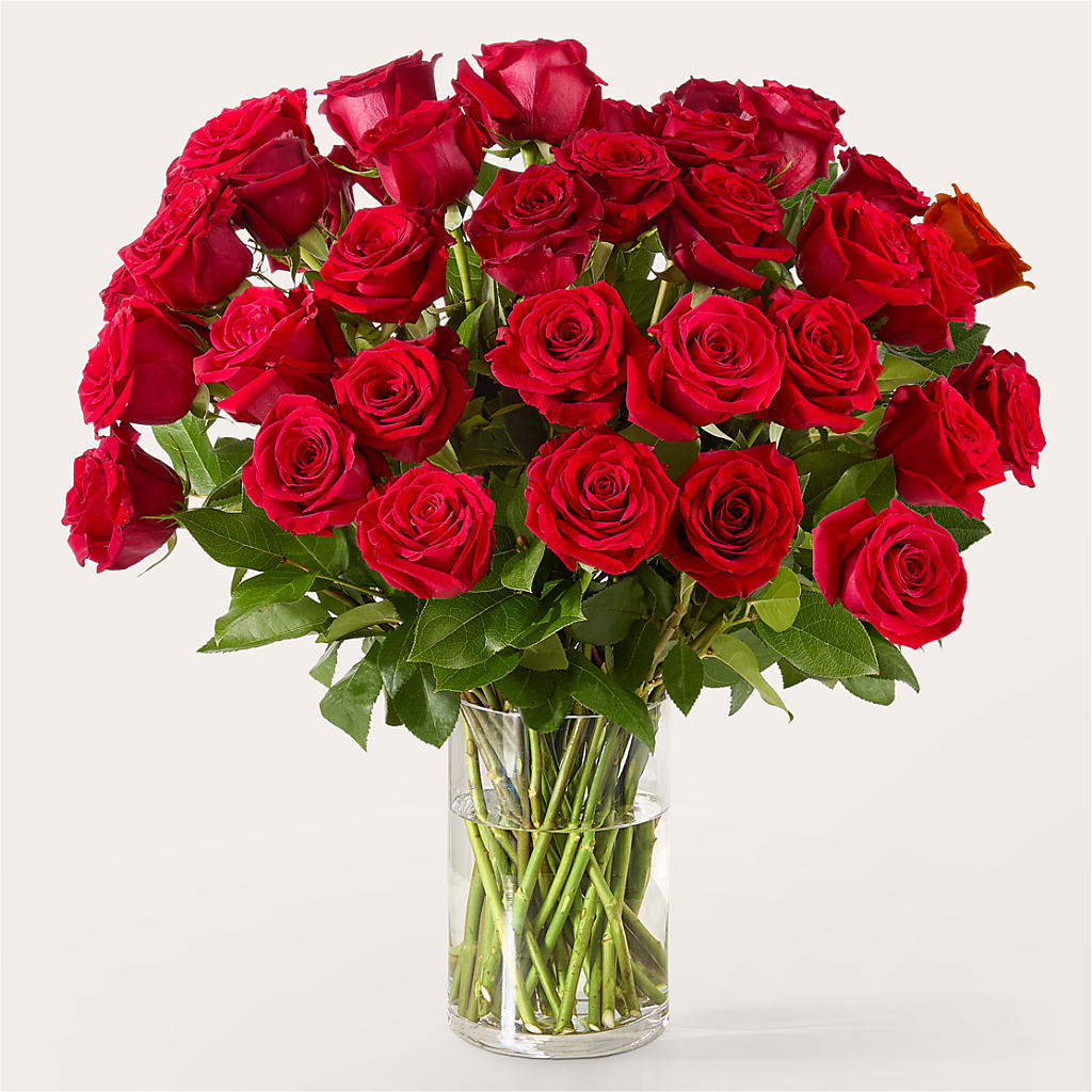 The One Red Rose Bouquet –  Le Bloom Floral, Le Mars IA