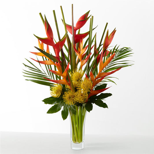 The Drama –  Le Bloom Floral, Le Mars IA