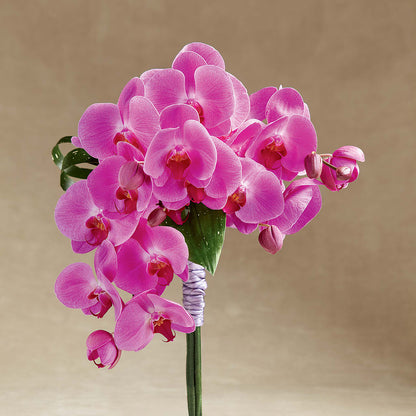 Glorious Bouquet –  Le Bloom Floral, Le Mars IA